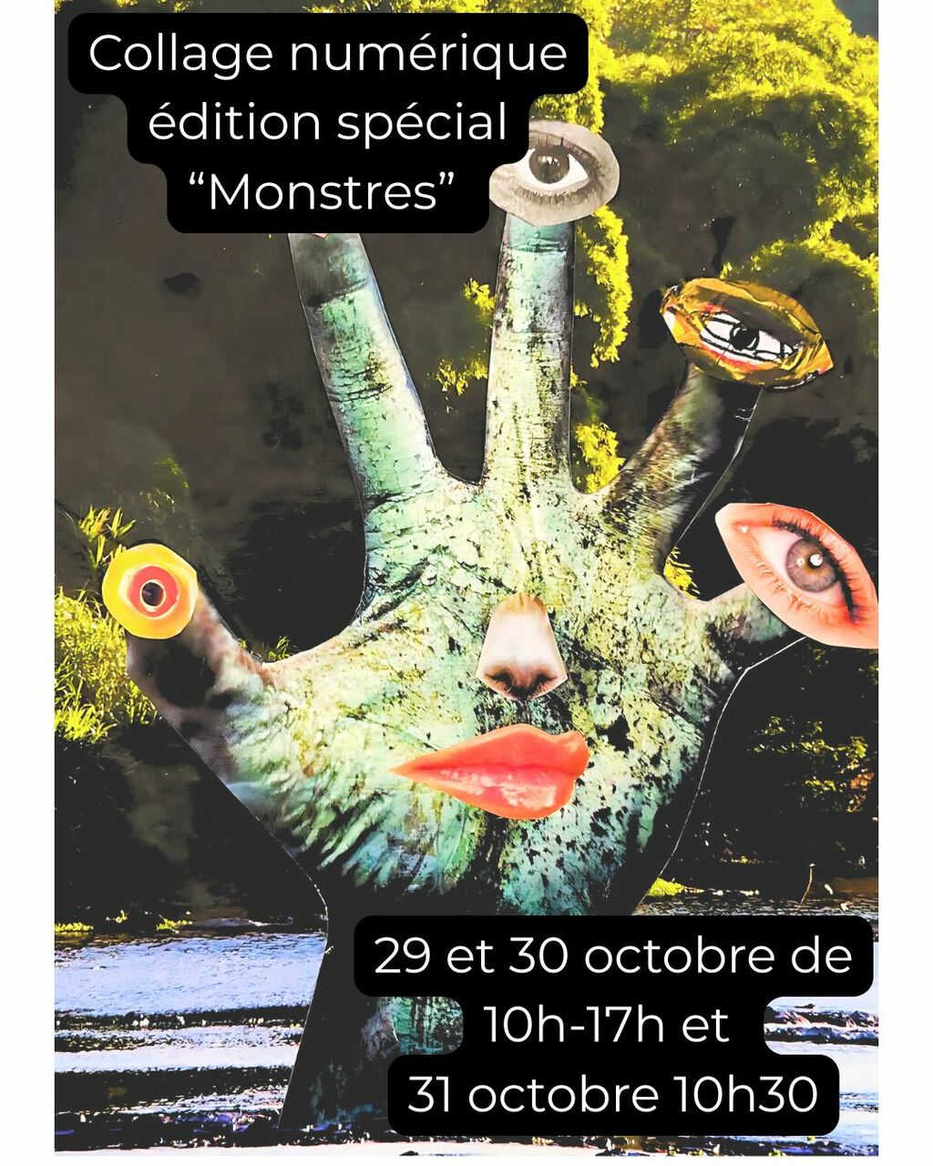 Stage Collage numérique