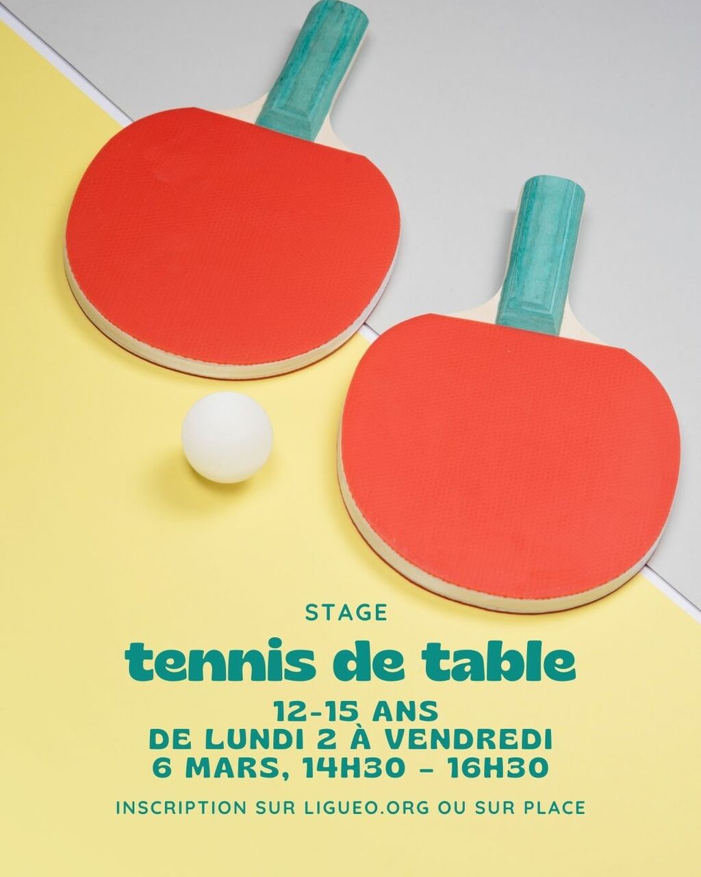 Stage Tennis de table