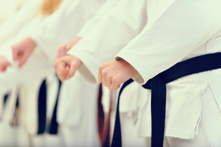 Karate Jutsu