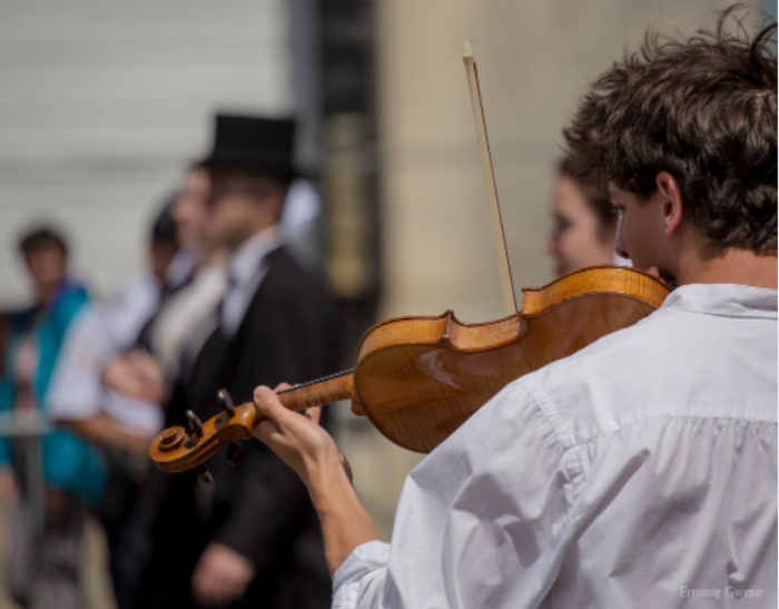 Violon-semi collectif