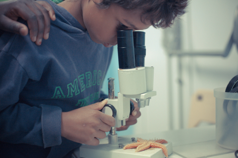Stage Les petits scientifiques